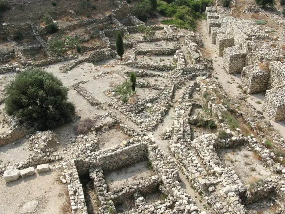 Fenike Şehir Devletleri