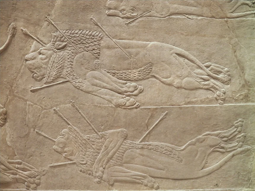 Asur İmparatorluğu — Aşurbanipal'ın Kraliyet Aslan Avı kabartmalarından bir sahne, Ninova sarayı -British Museum.