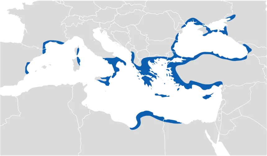 Antik Yunan Şehir Devletleri — MÖ 6. yüzyılda Yunan şehir devletlerinin Akdeniz ve Karadeniz kıyılarındaki koloni ağı.
