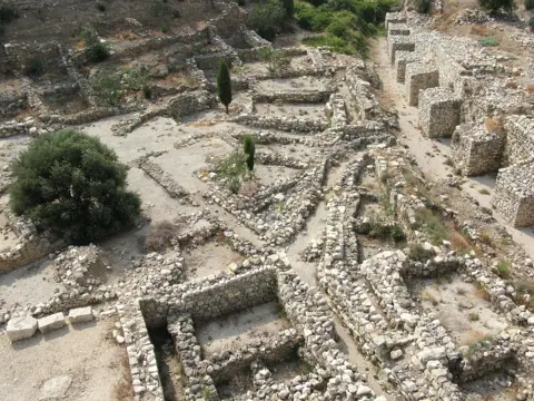 Fenike Şehir Devletleri