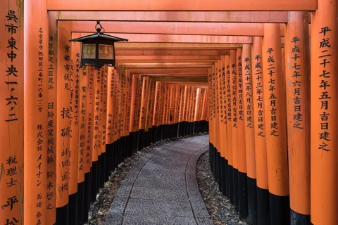 Kyoto'daki Fuşimi İnari Tapınağı'nda kırmızı torii kapılarından oluşan yol.